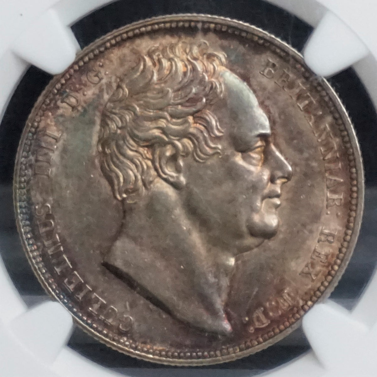 1834年 英国イギリス 1/2クラウン銀貨 NGC鑑定 MS63 ウィリアム4世 – antique coin shop AKES