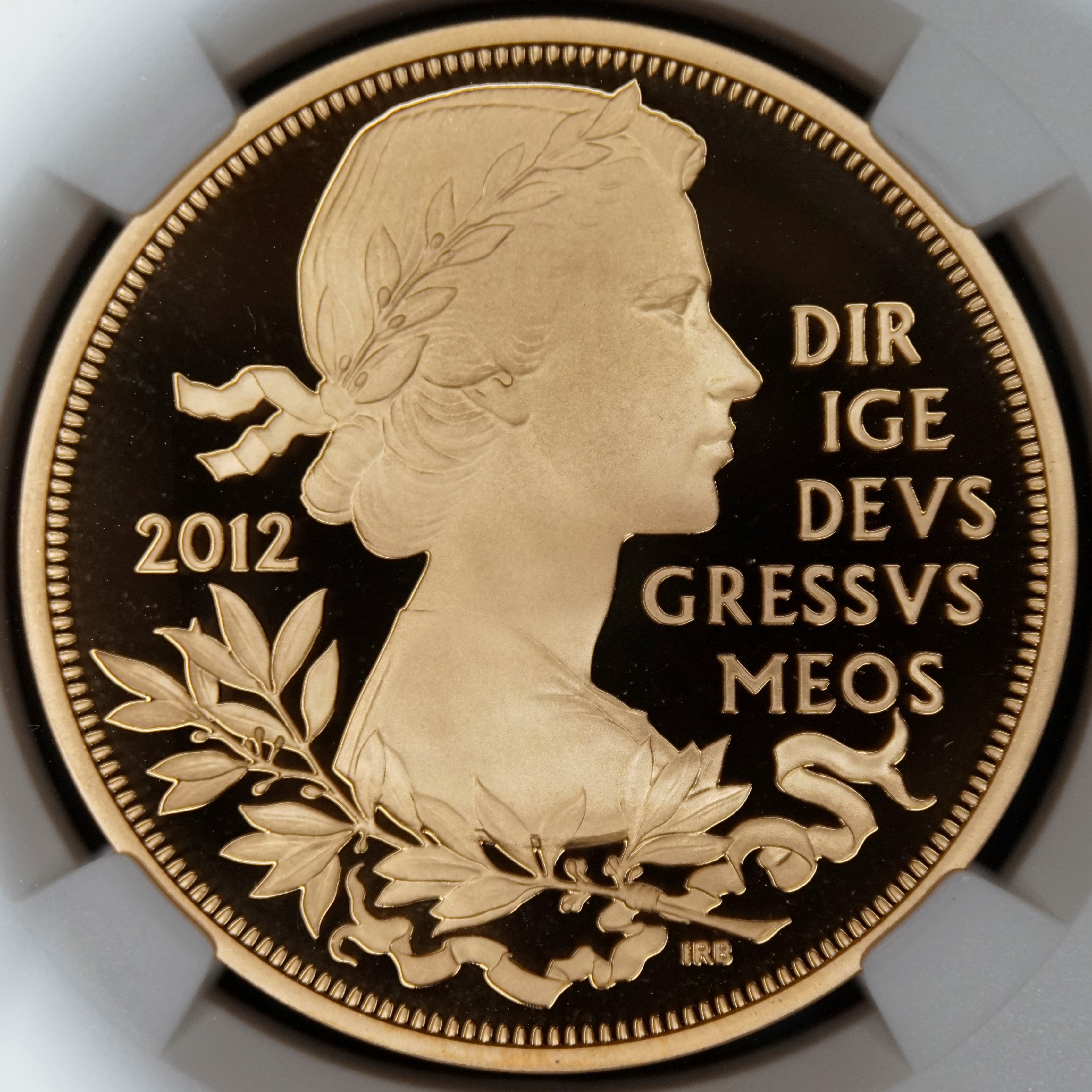 2012 エリザベス2世 ダイヤモンドジュビリー GILT 5ポンド銀貨